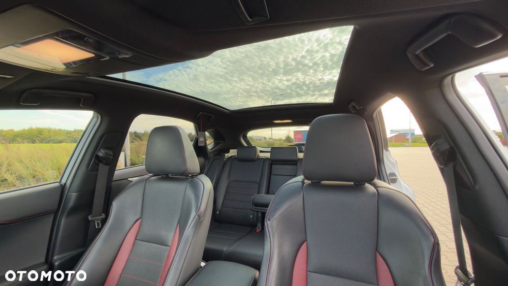 Lexus NX 300h F Sport Edition AWD - 15