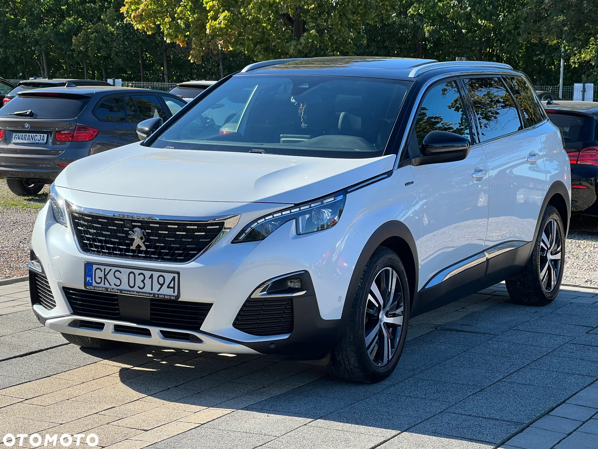 Peugeot 5008 1.5 BlueHDi GT S&S EAT8 - 2