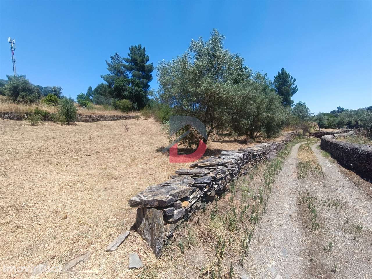 Terreno Rústico - Grande imagem: 4/14