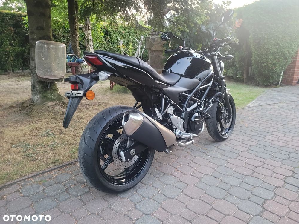 Suzuki SV - 11