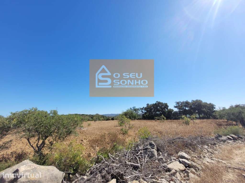Terreno Rústico Plano - 4.980 M² - Grande imagem: 4/11