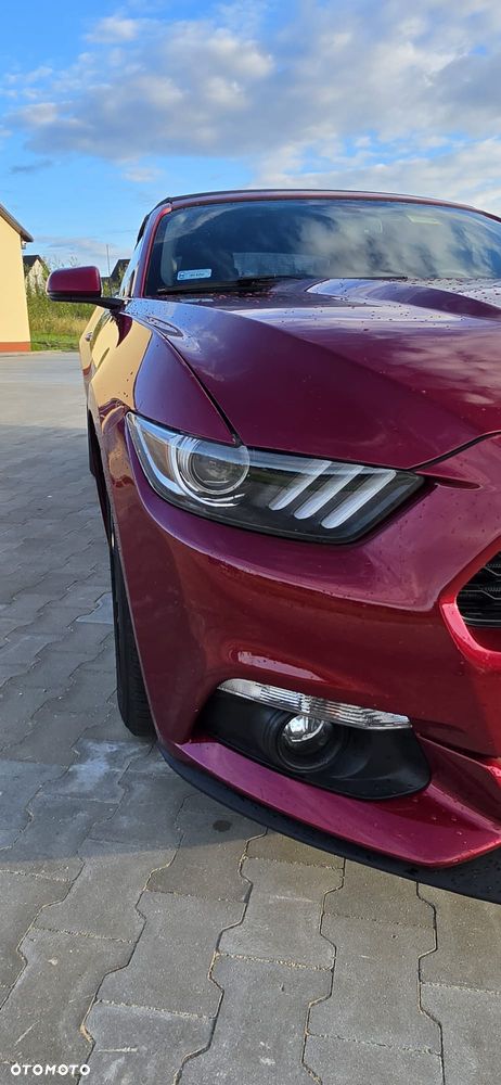 Ford Mustang Cabrio 2.3 Eco Boost - 6