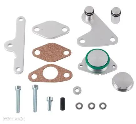 Kit anulação supressão de EGR BMW motores N47 N47S - 1
