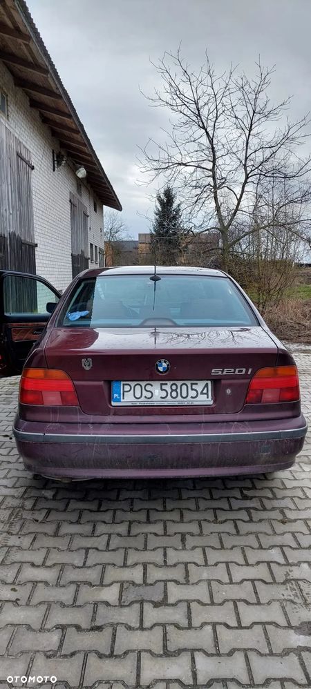 BMW Seria 5 520i - 3