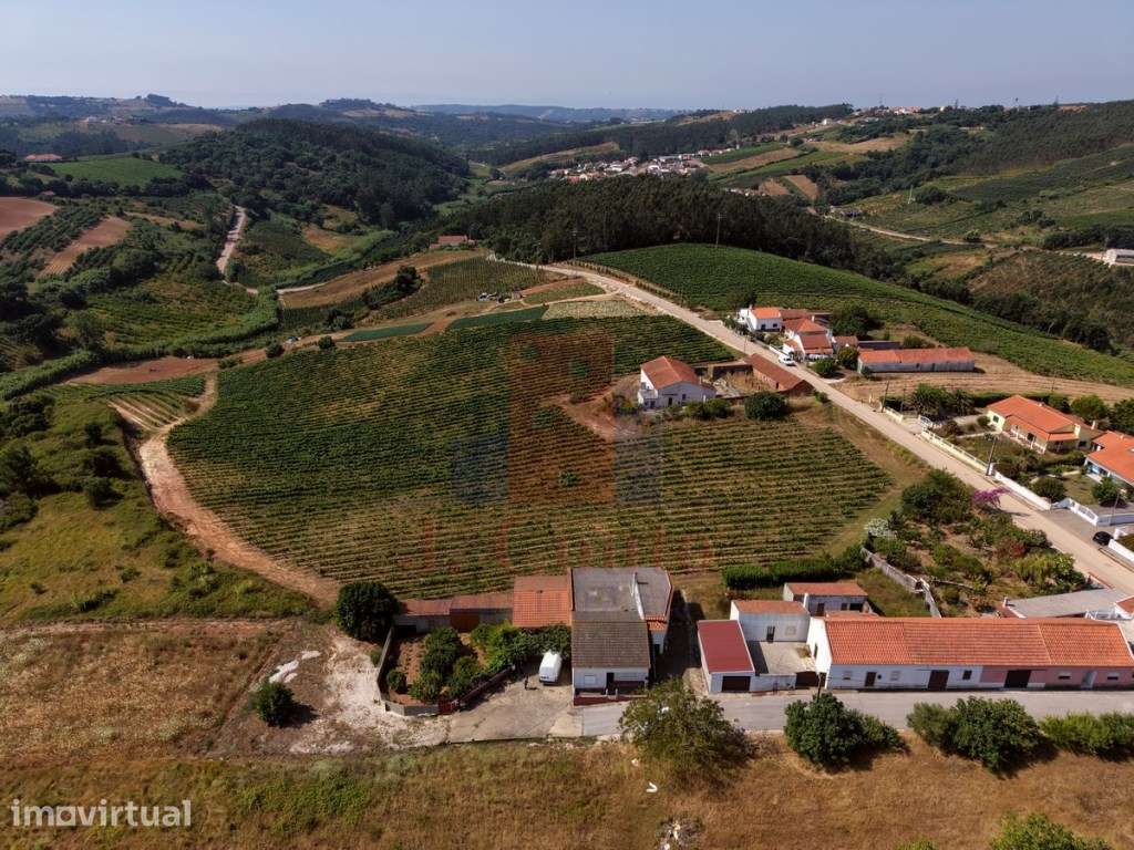 Moradia T3 com Terreno de 7.868 m² | Vista Panorâmica sobre o Campo... - Grande imagem: 5/31