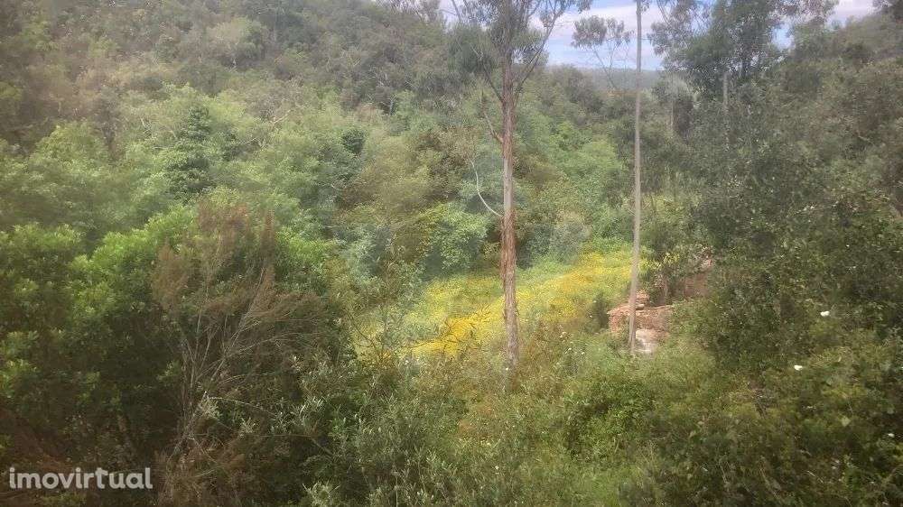 Quintinha Monchique - Grande imagem: 5/13