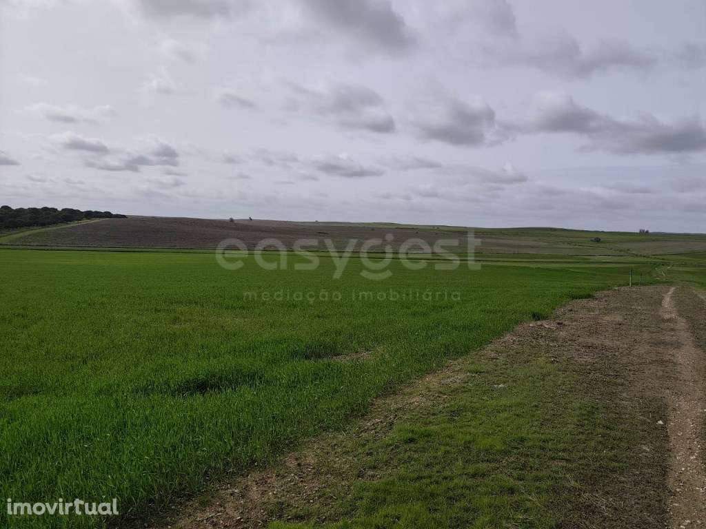 Terreno Rústico com área total de 93.875 m2, localizado na freguesi... - Grande imagem: 5/11