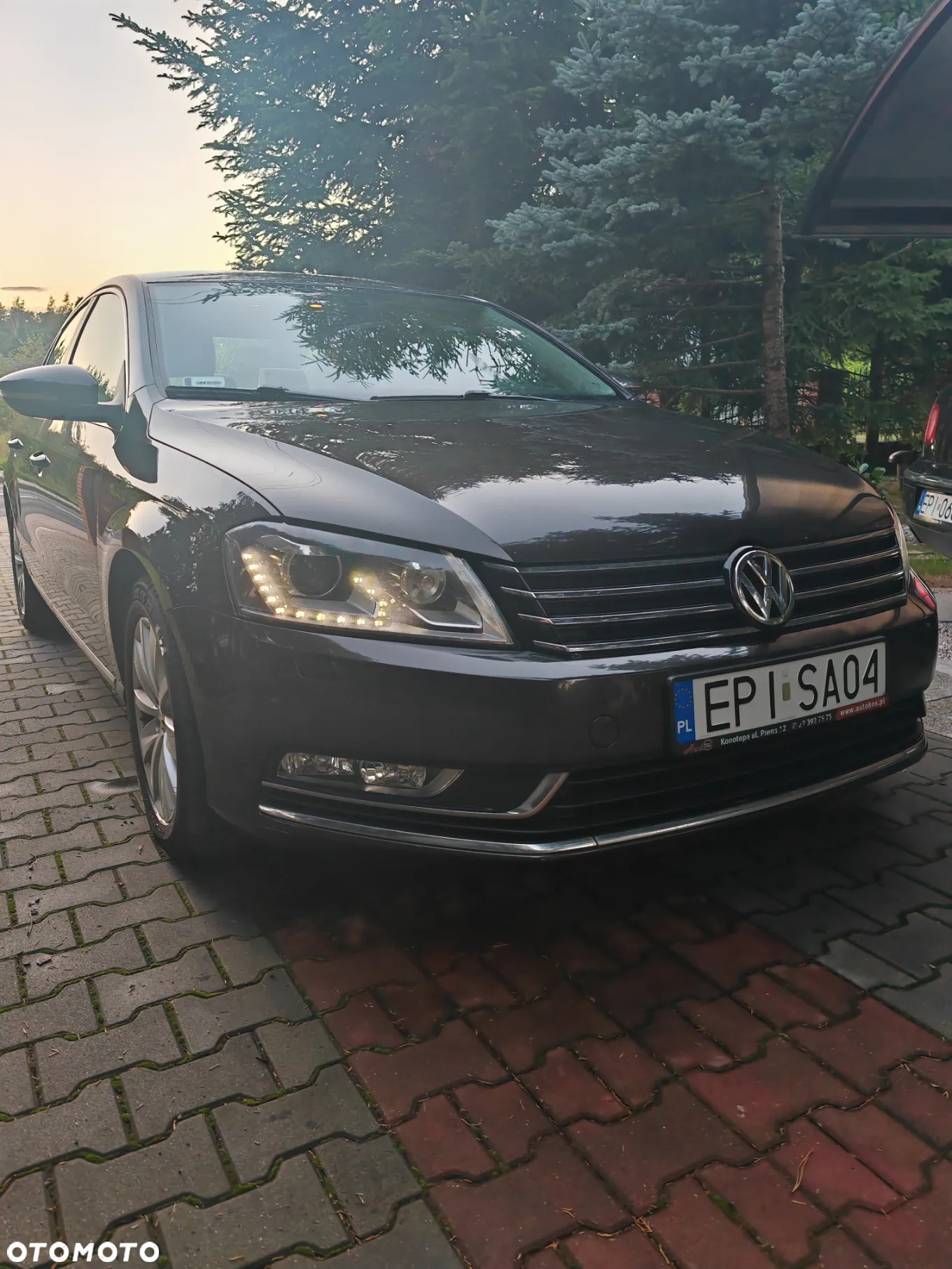Volkswagen Passat - 9