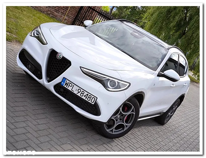 Alfa Romeo Stelvio 2.0 Turbo 16V AT8-Q4 Executive - 2