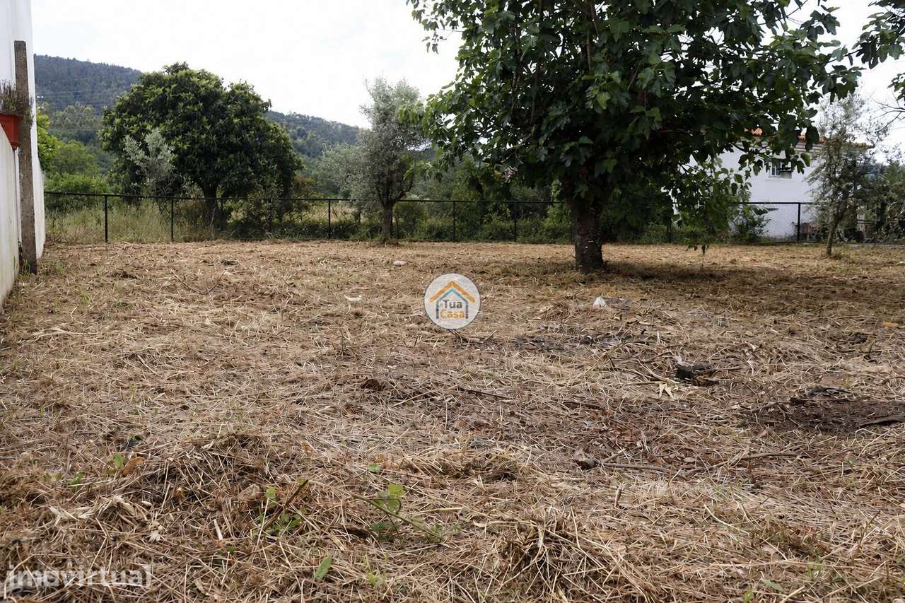 Lote para Construção na Lousã - Grande imagem: 3/5