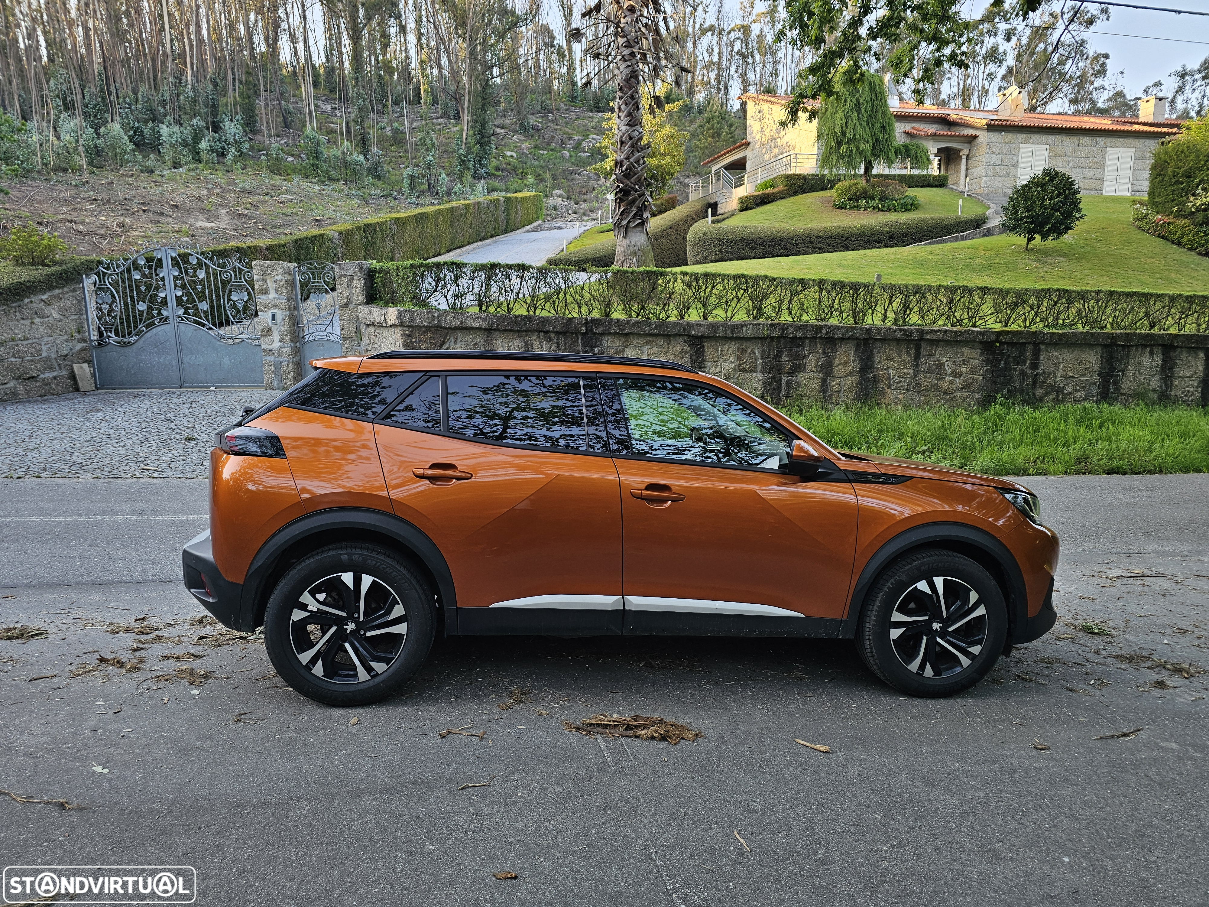 Peugeot 2008 ver-1-5-bluehdi-allure - 8