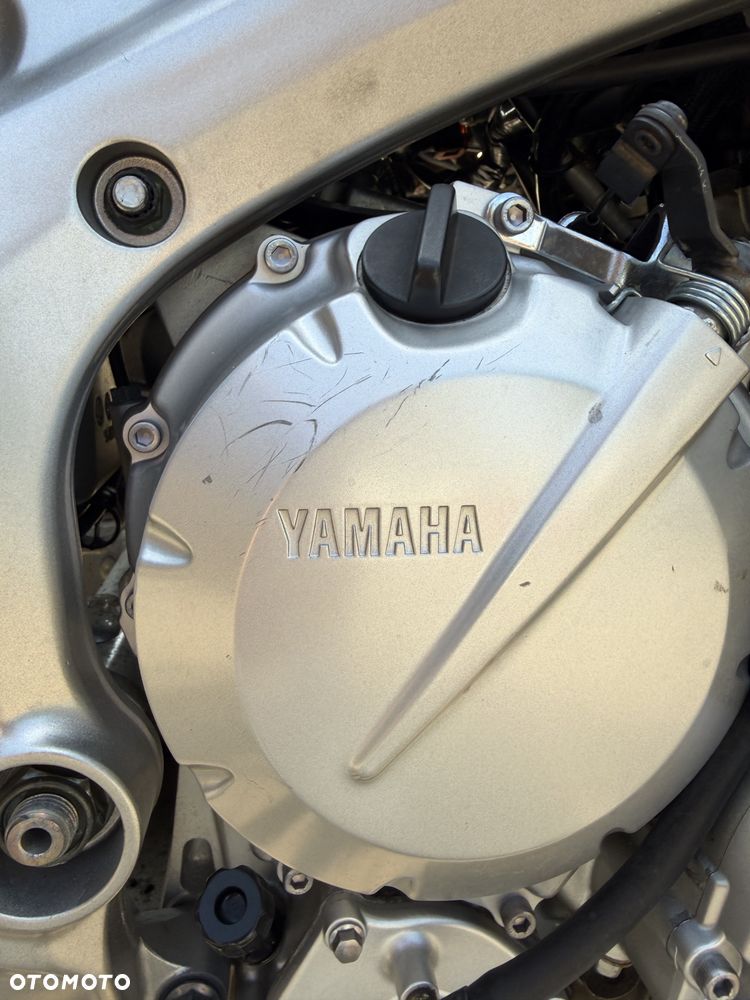 Yamaha FZ6 - 19