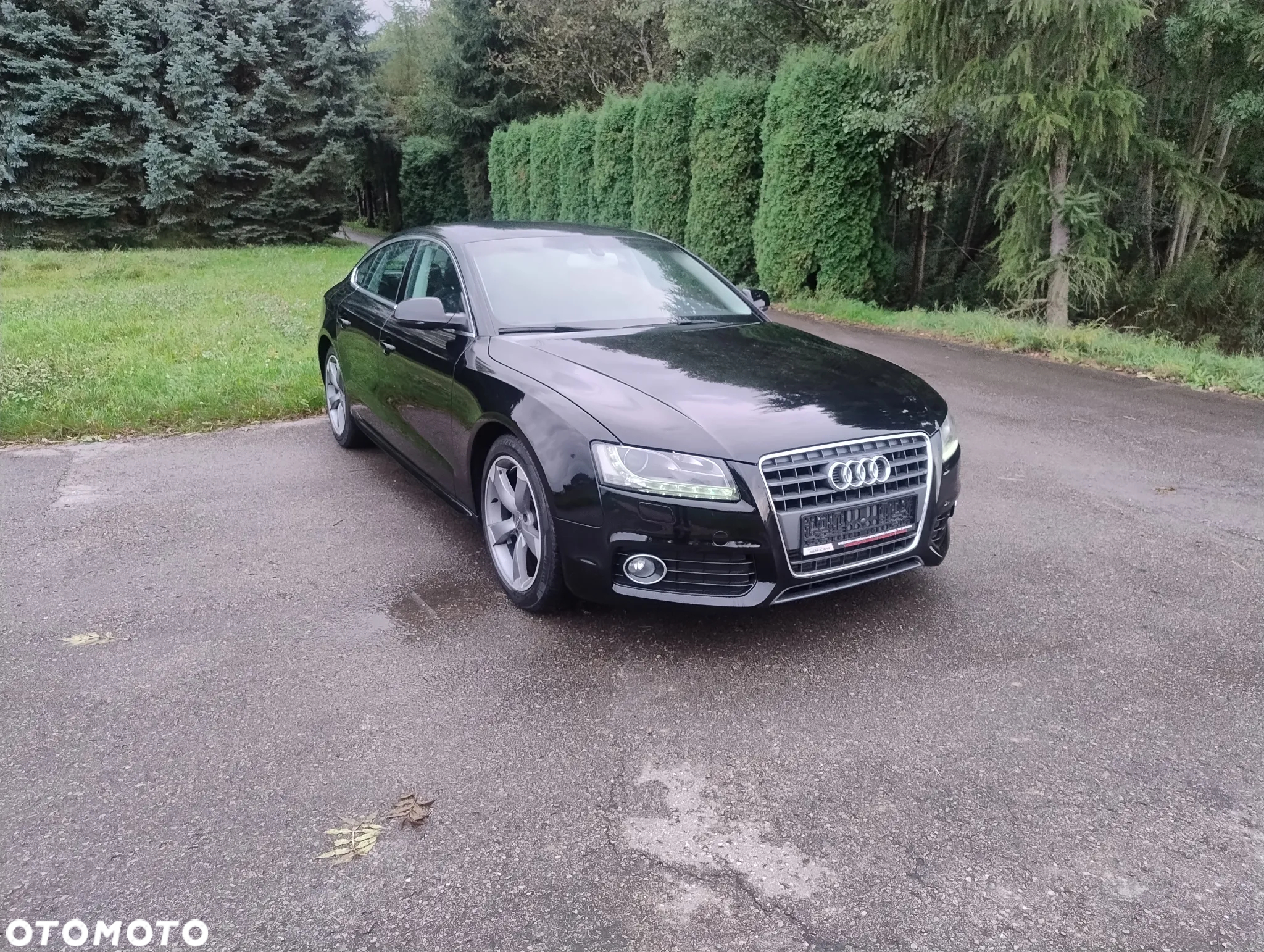 Audi A5 - 8