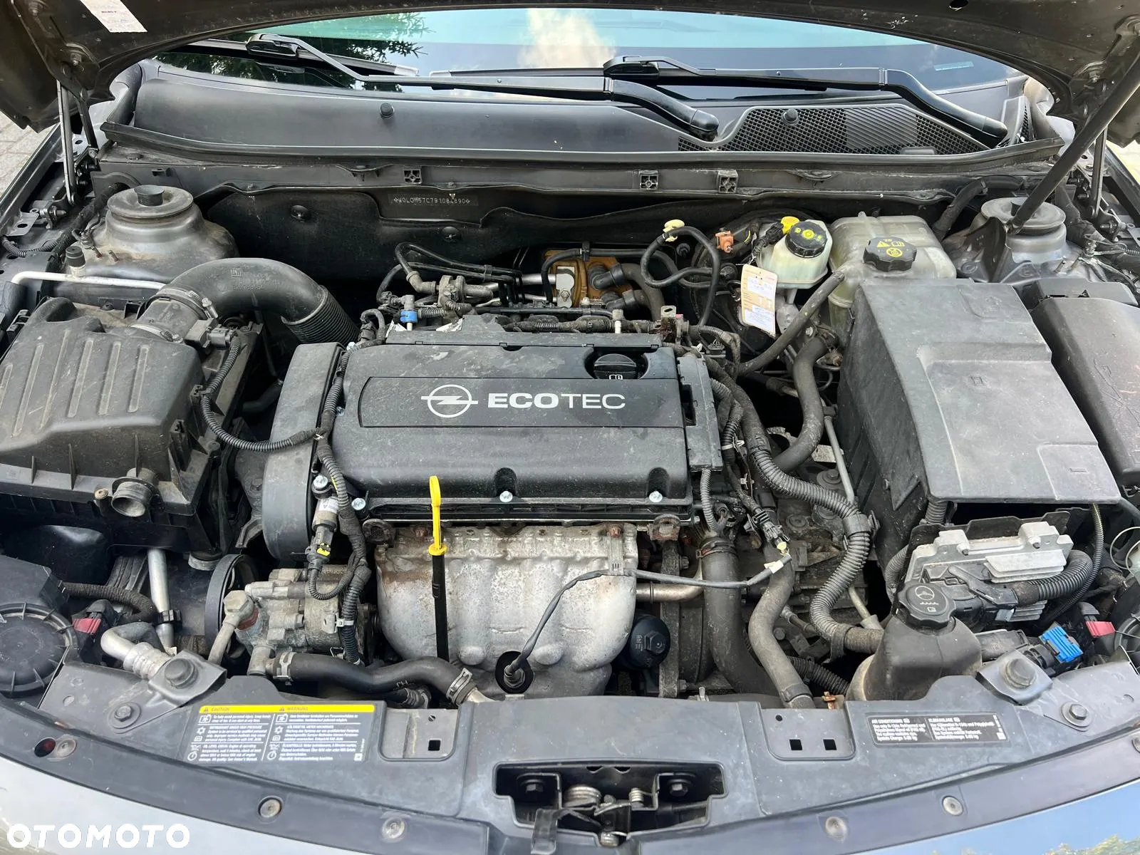 Opel Insignia - 20