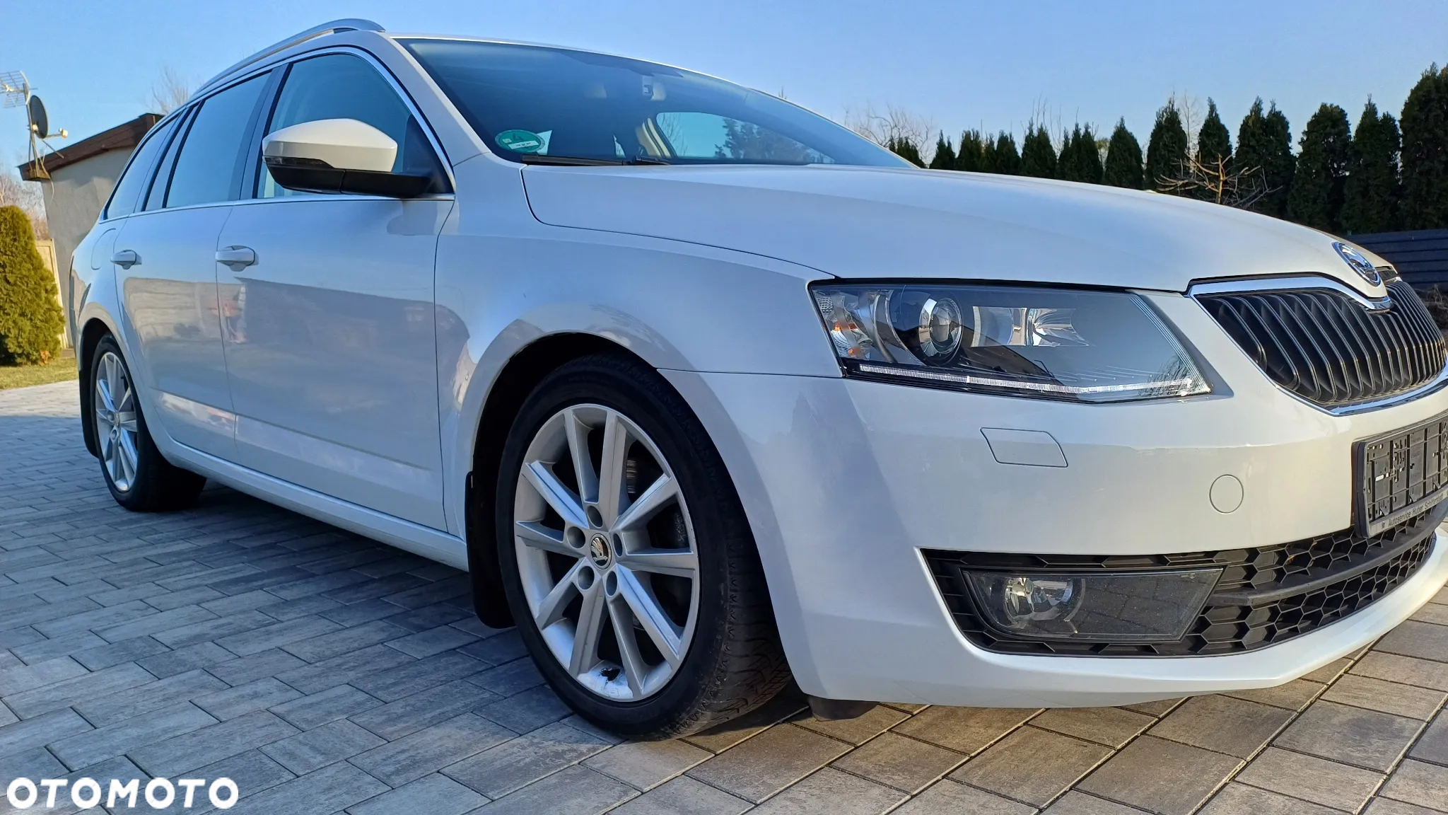 Volkswagen Passat - 35