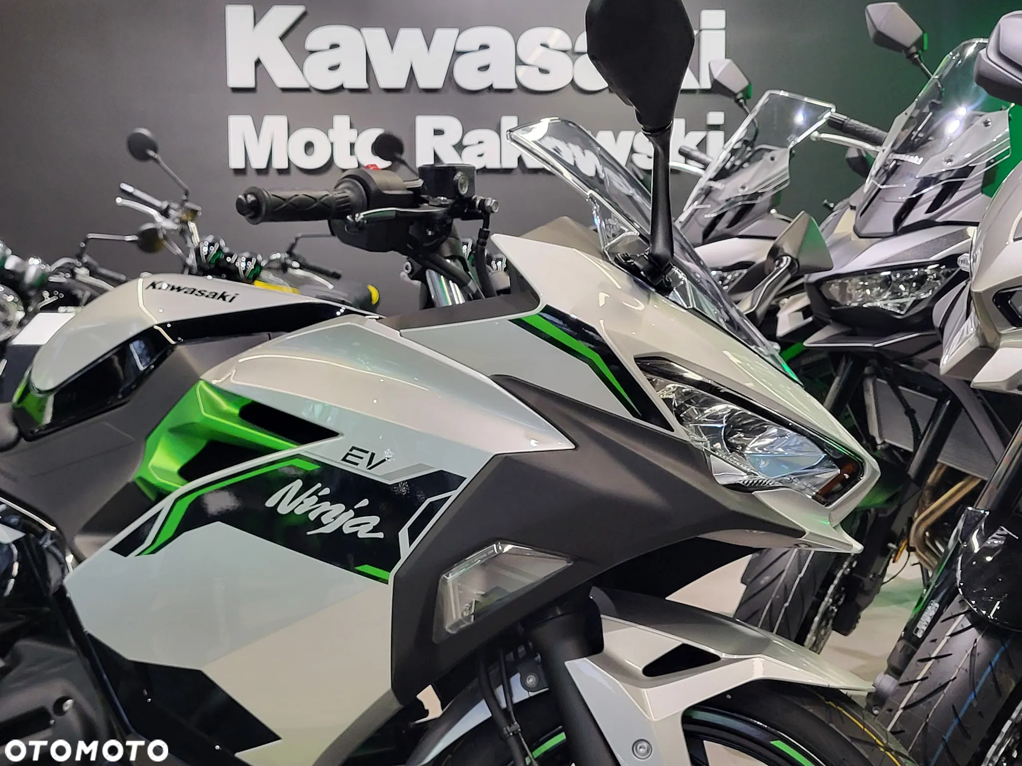 Kawasaki Ninja - 3