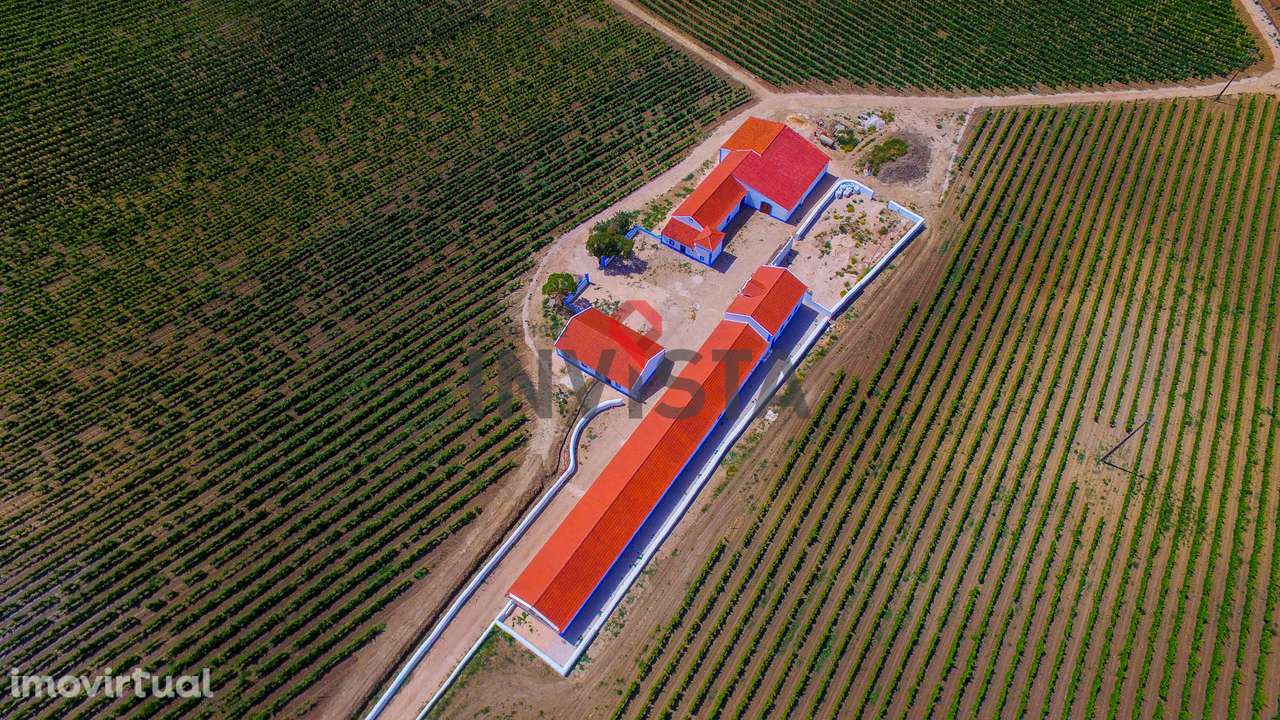 Quinta Vitivinícola com 36 hectares. - Grande imagem: 3/25