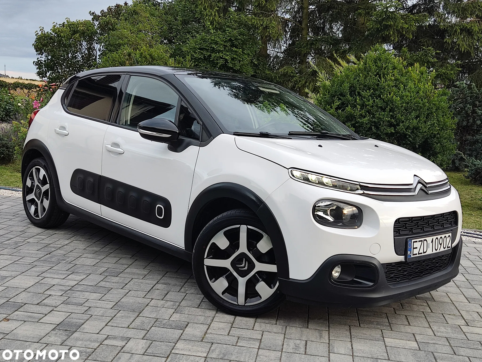 Citroën C3 1.5 BlueHDi Feel S&S - 3