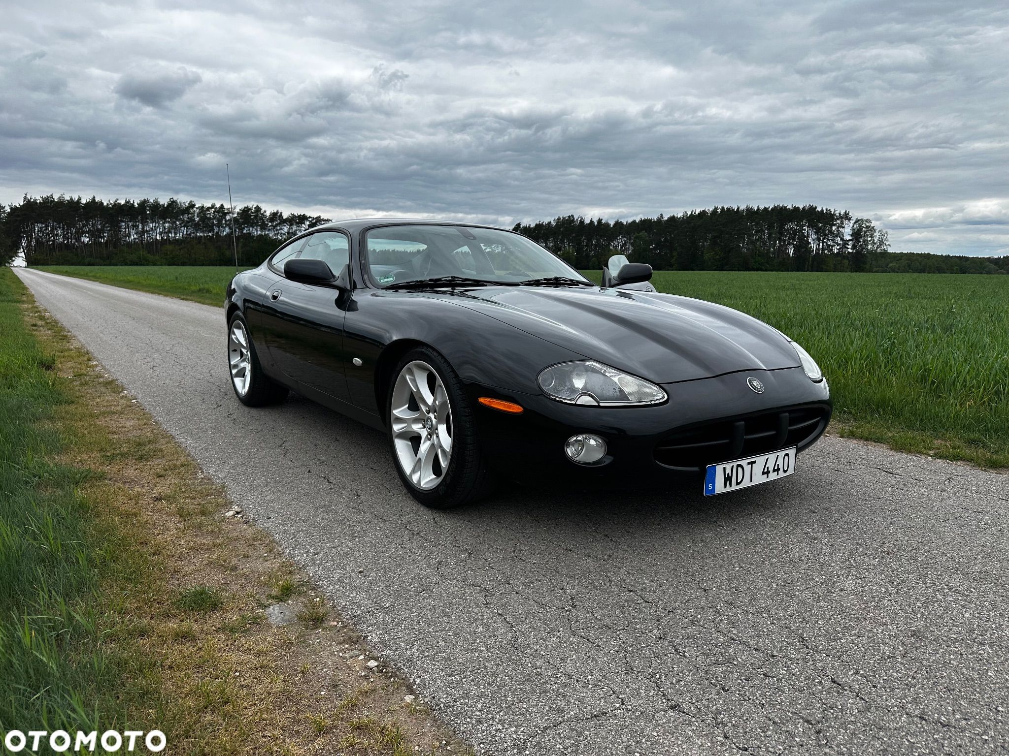 Jaguar XK8 4.2 - 1
