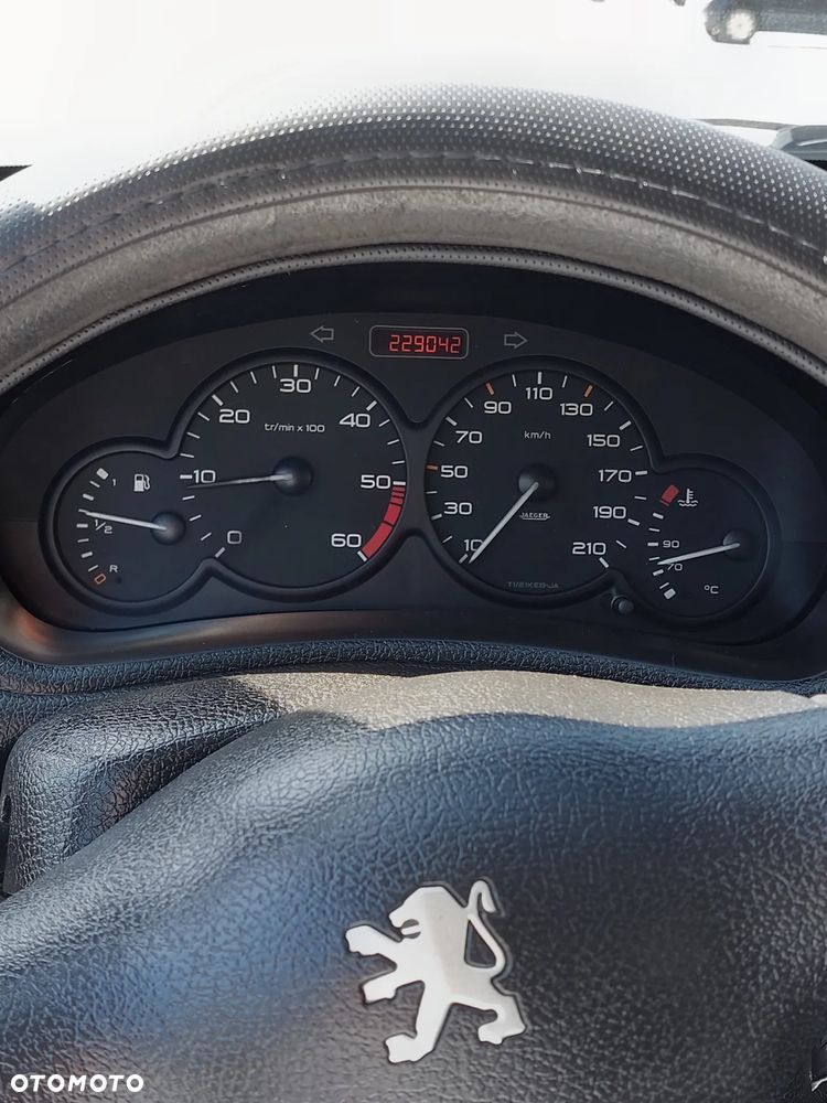Peugeot 206 - 13