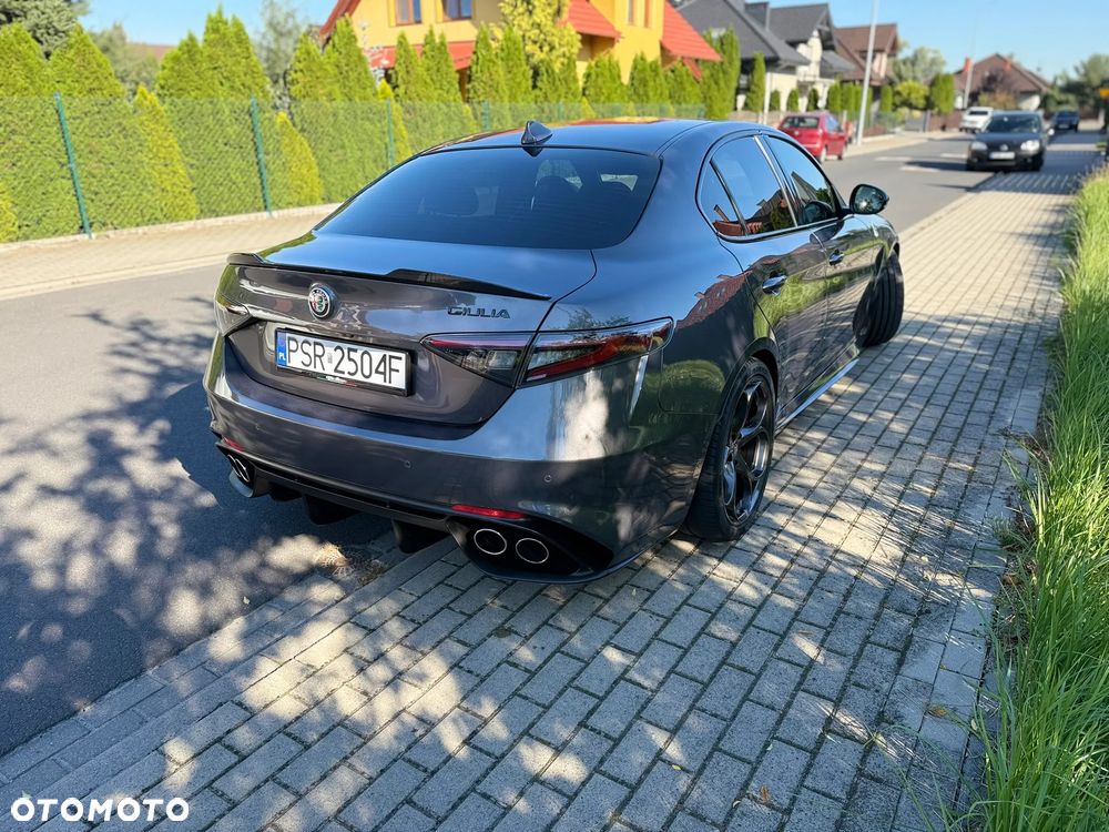 Alfa Romeo Giulia 2.9 Bi Turbo V6 Quadrifoglio - 19
