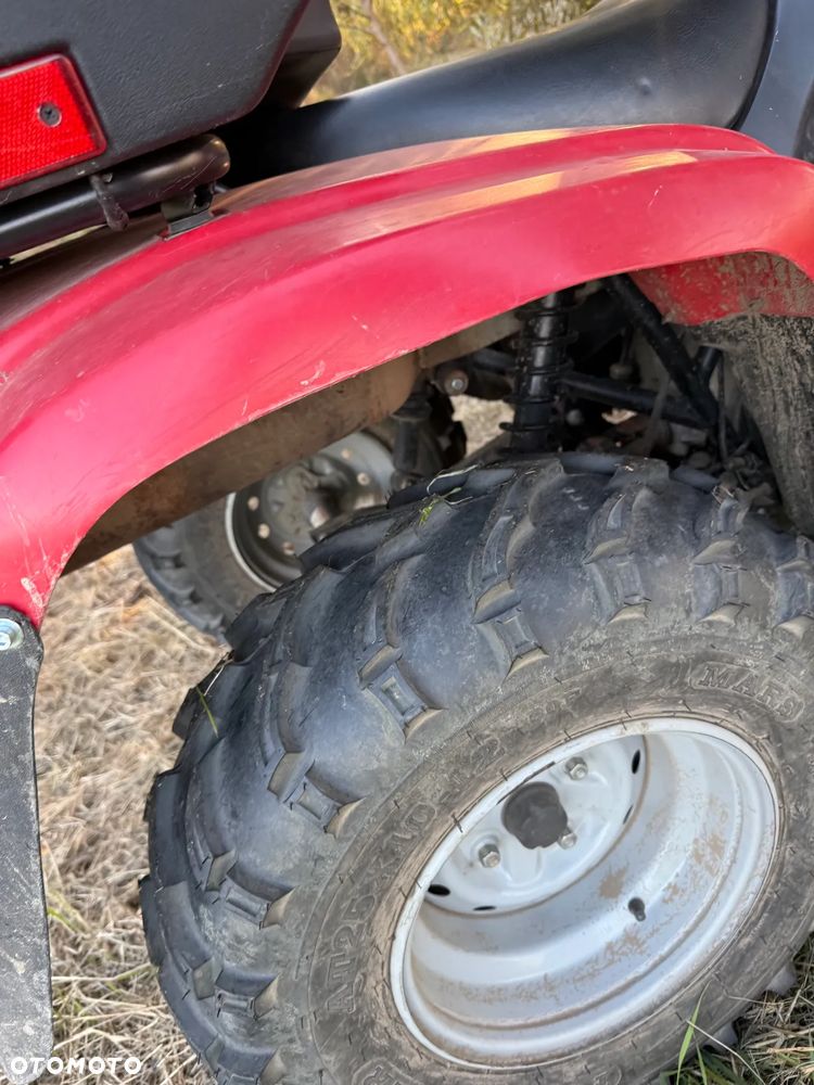 Suzuki Kingquad - 14
