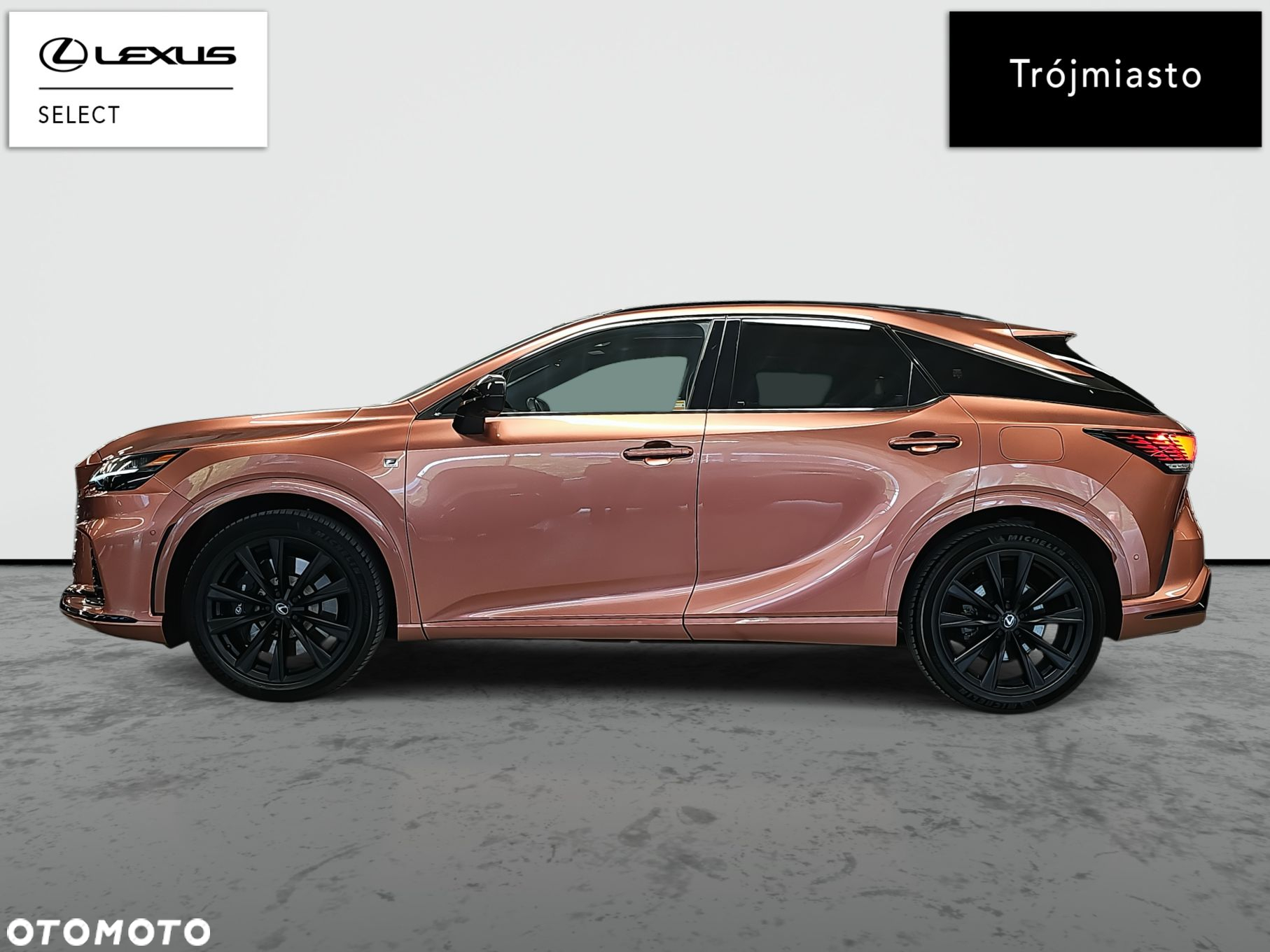 Lexus RX - 8