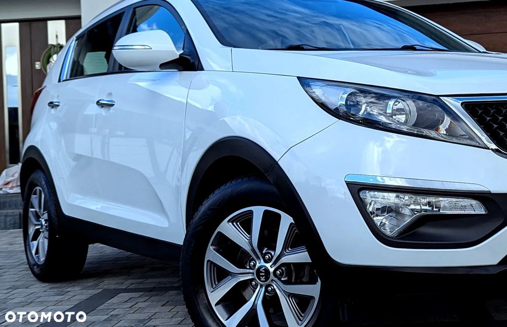 Kia Sportage 1.6 GDI Business Line L 2WD - 24