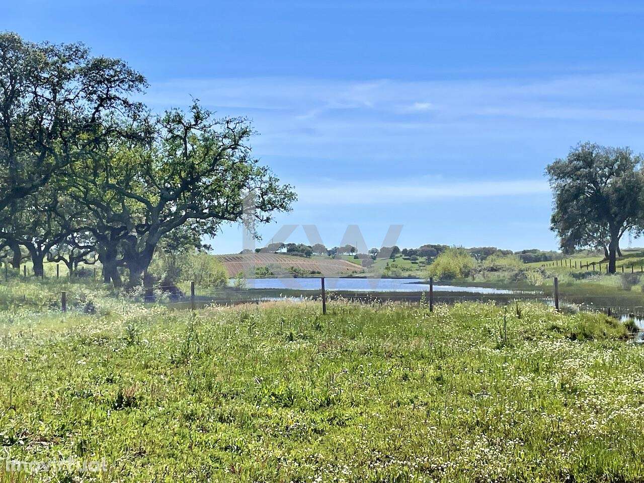 Herdade no coração do Alentejo de 307 hectares, com produção vinícola, - Grande imagem: 2/39