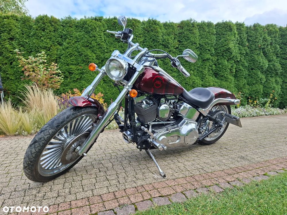 Harley-Davidson Softail - 1