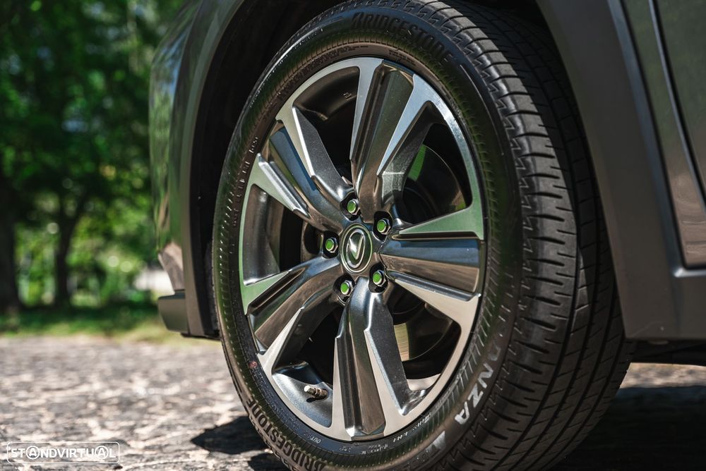 Lexus UX 250h Luxury - 19