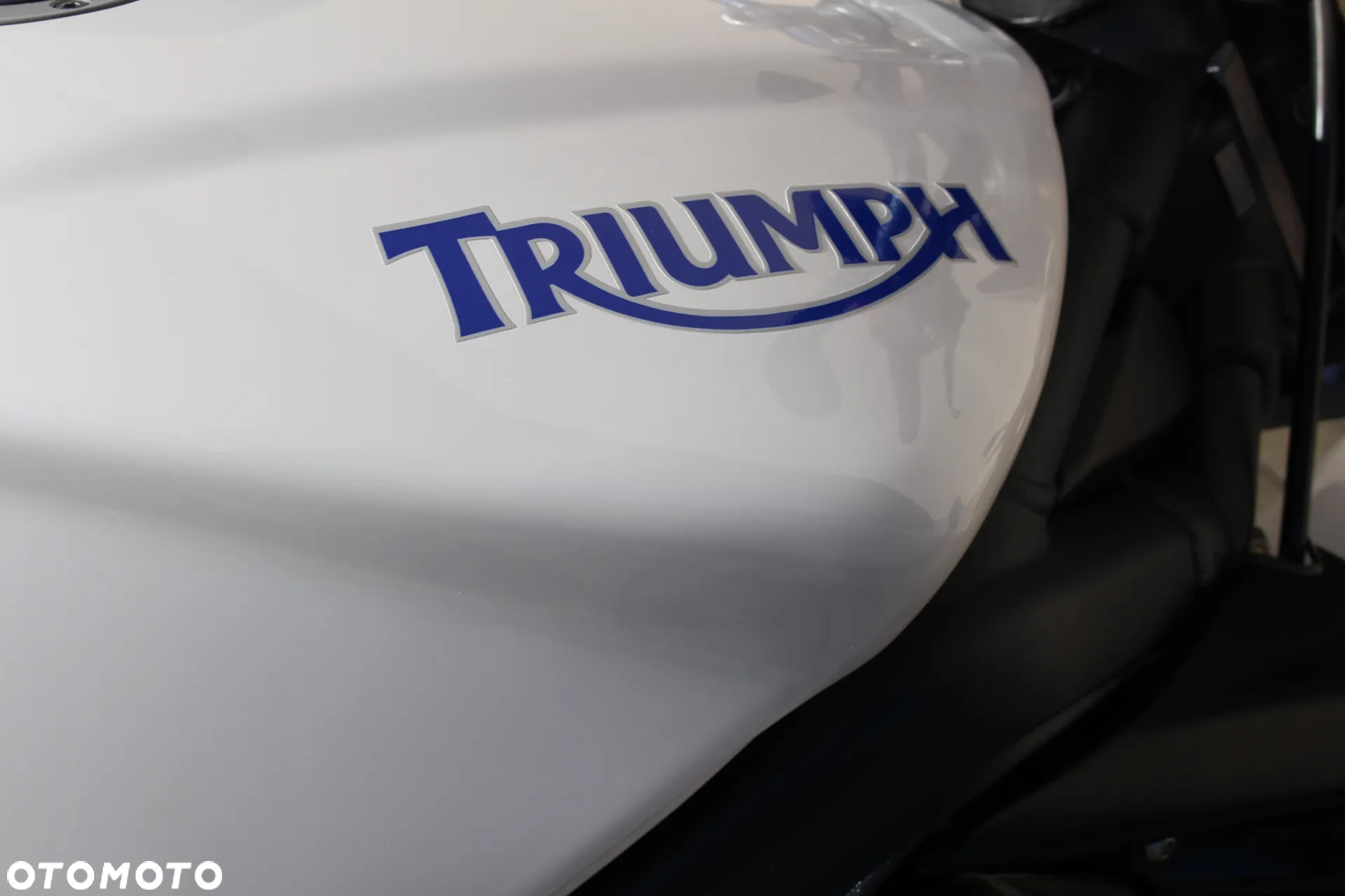 Triumph Speed Triple - 29