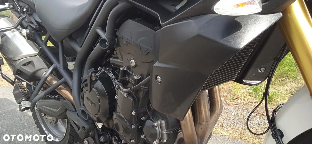 Triumph Tiger - 21