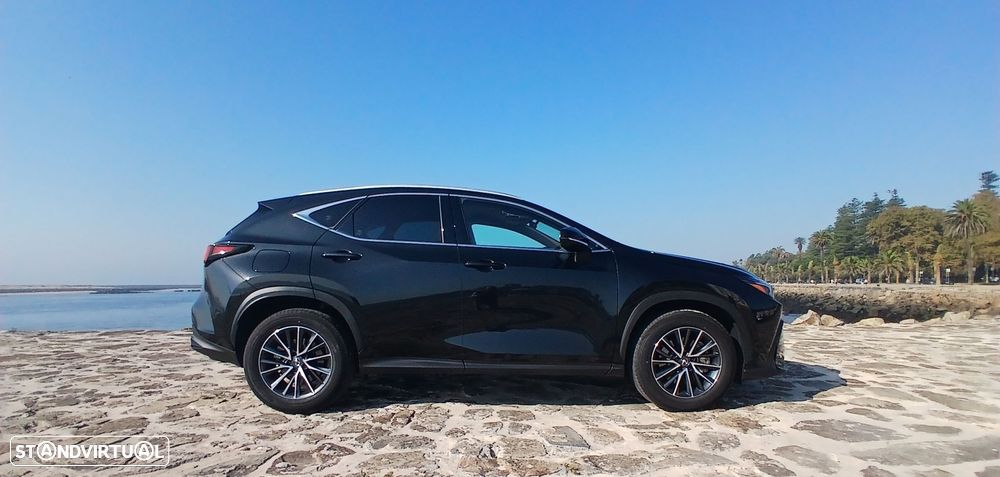 Lexus NX 450h+ - 8