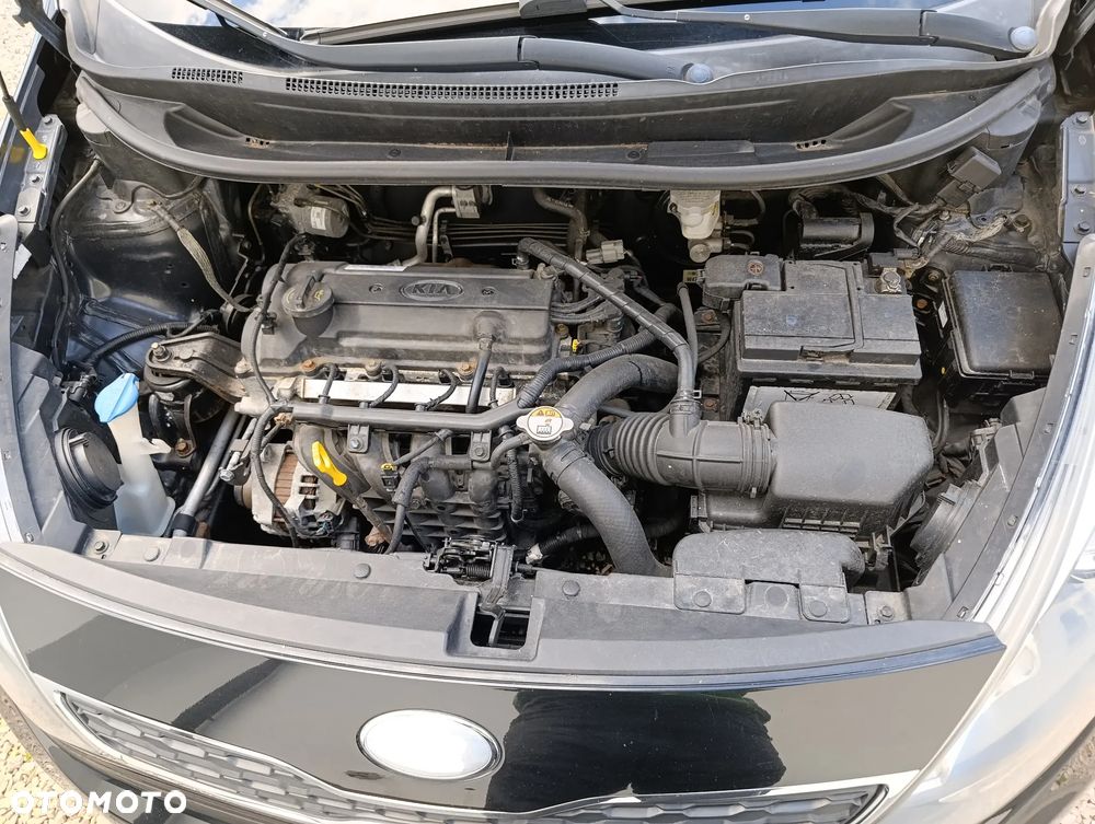 Kia Rio - 16