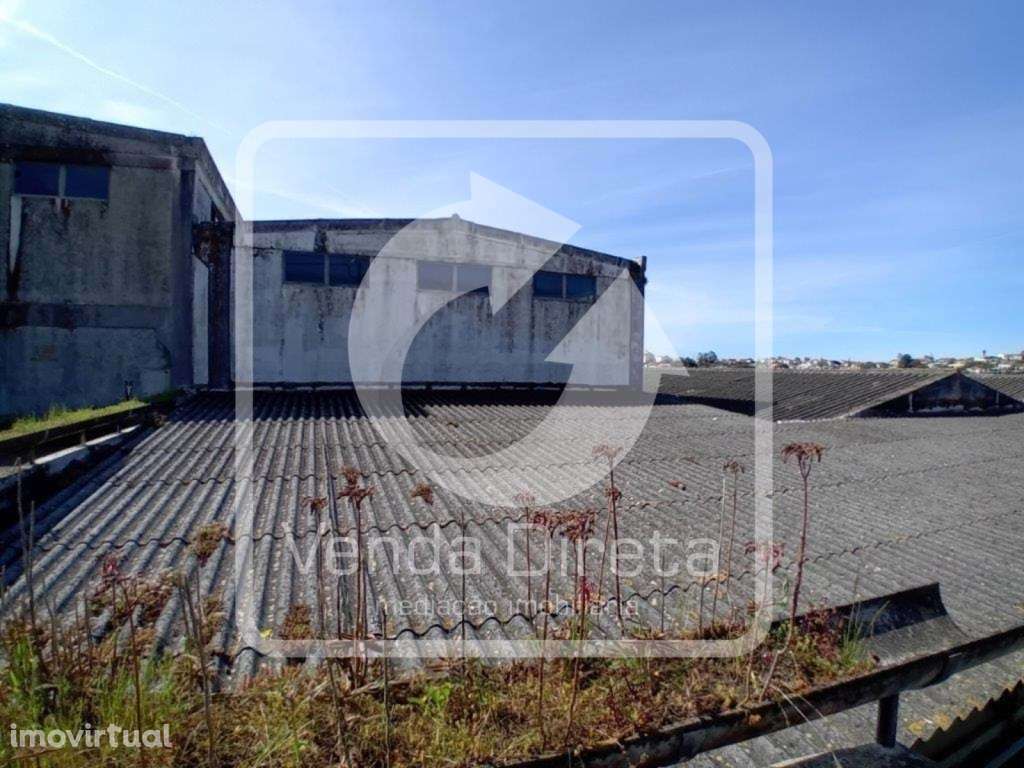 Conjunto de 3 Armazéns, com 6500 m² inseridos em Terreno de 11.600 ... - Grande imagem: 5/11