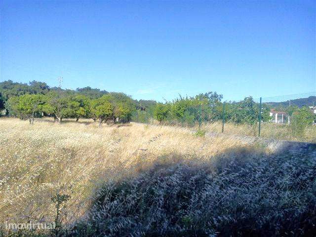 Palmela/Cabanas Terreno 6800m2 . - Grande imagem: 2/5