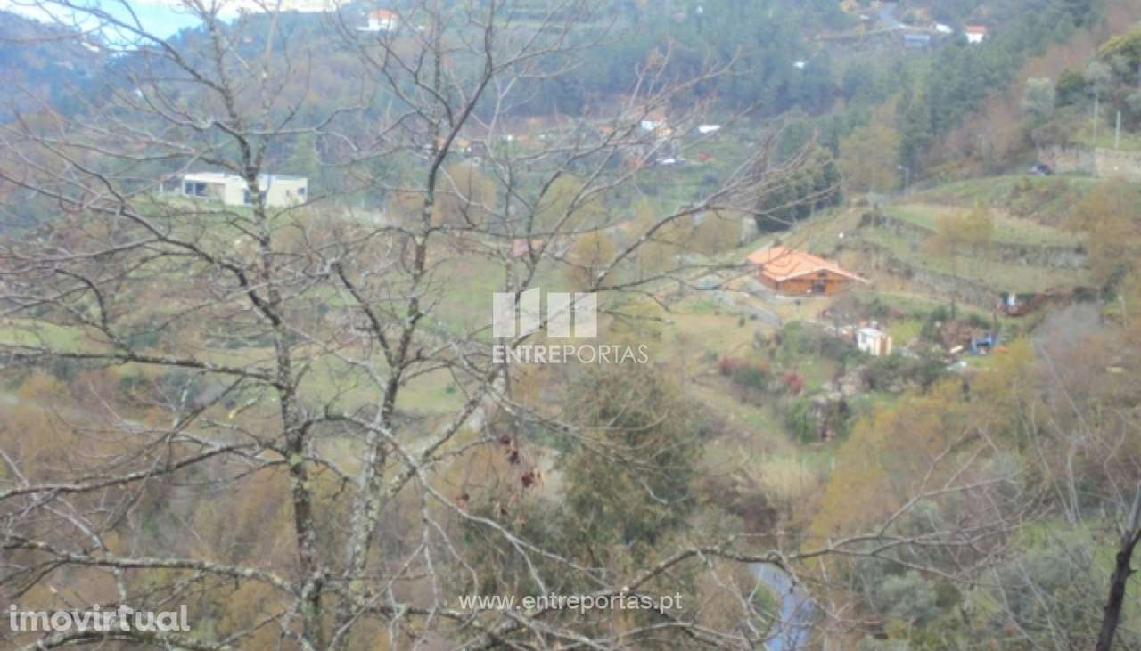 Venda Terreno, Ferreiros de Tendais, Cinfães - Grande imagem: 4/16