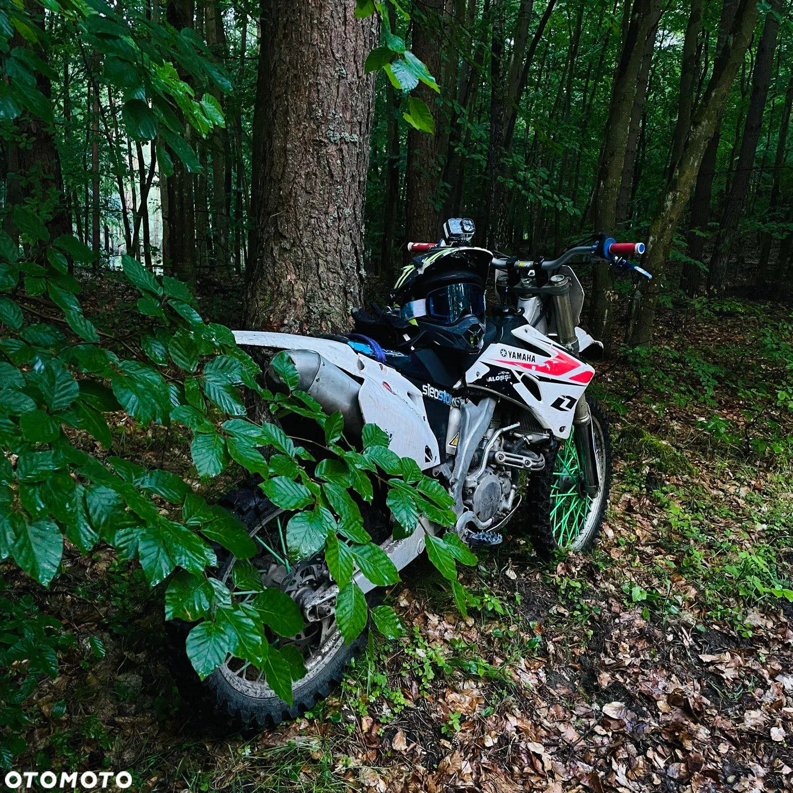 Yamaha YZF