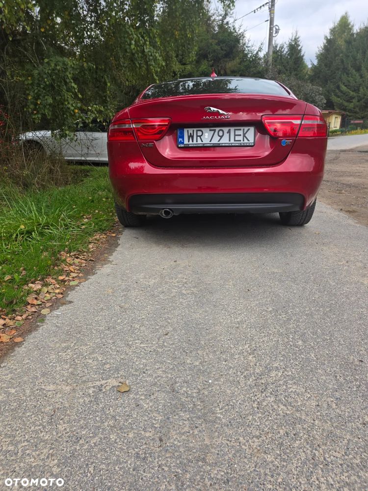 Jaguar XE E-Performance R-Sport - 6