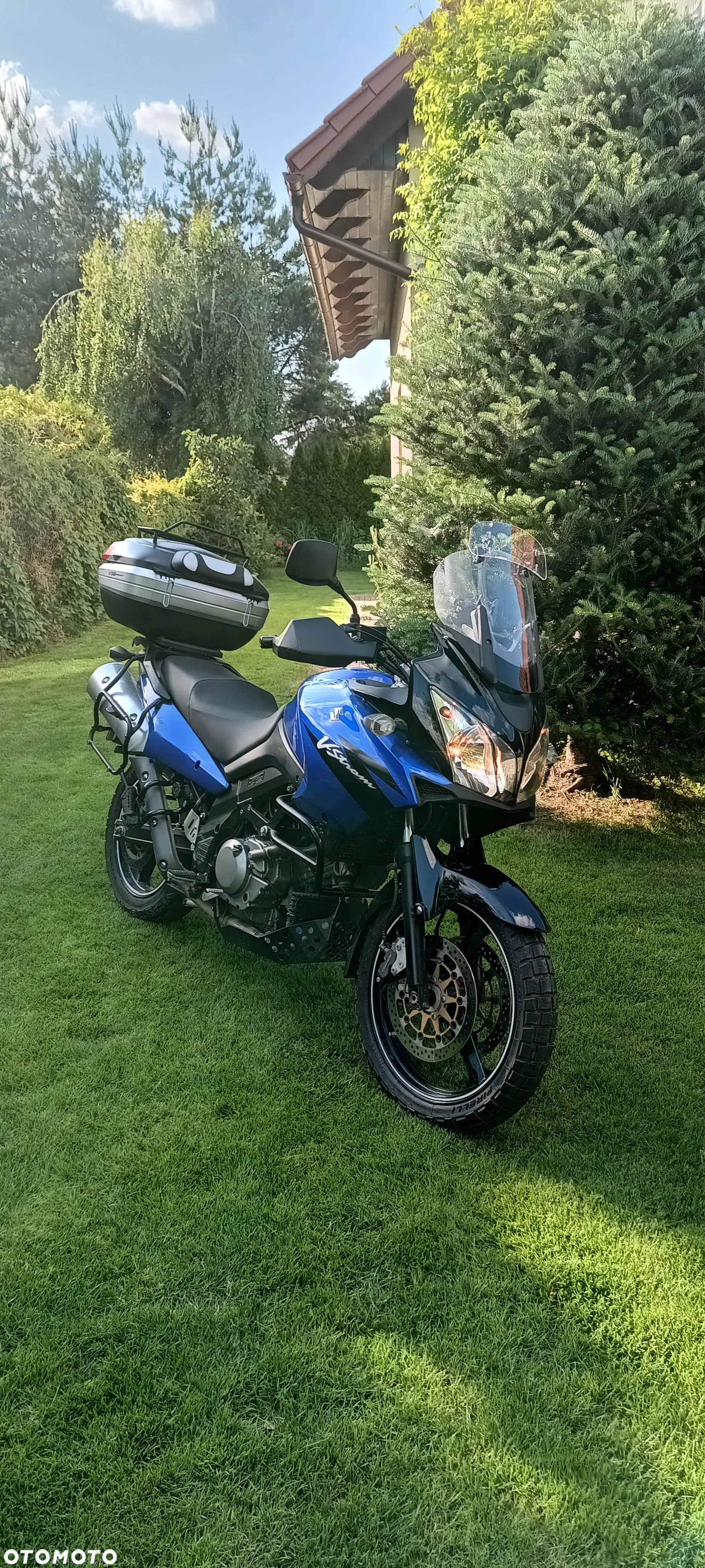 Suzuki DL