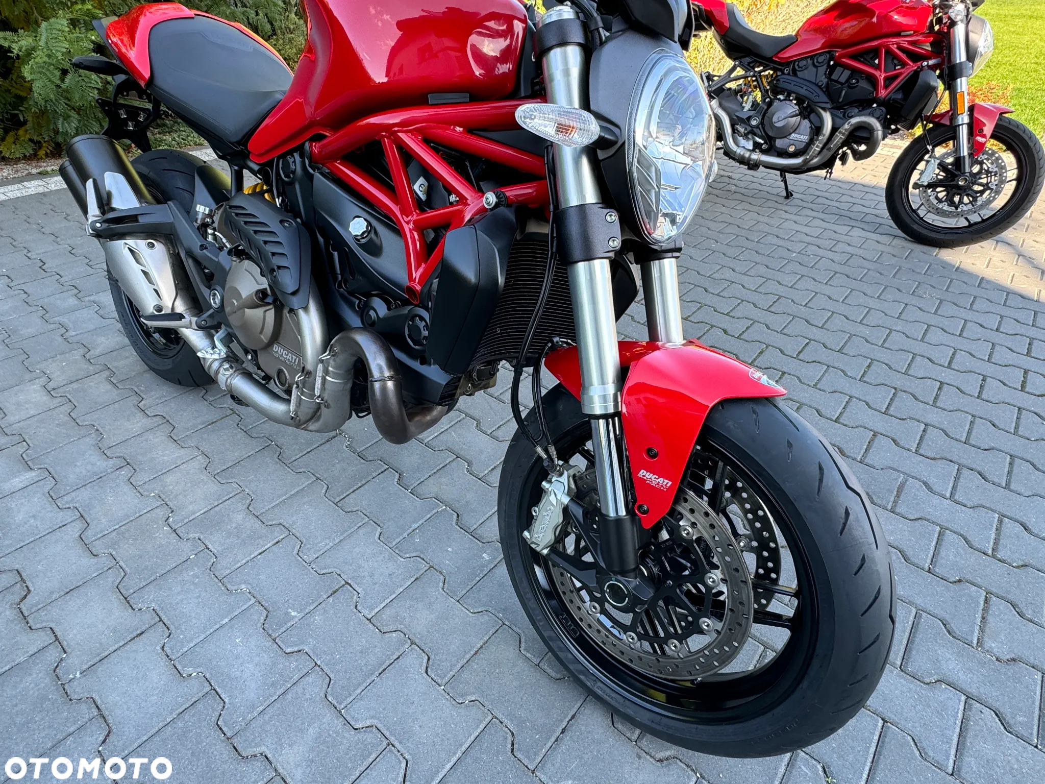 Ducati Monster - 16
