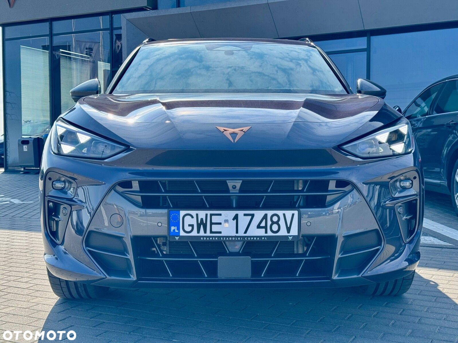 Cupra Terramar - 9