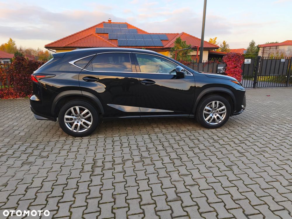 Lexus NX - 8