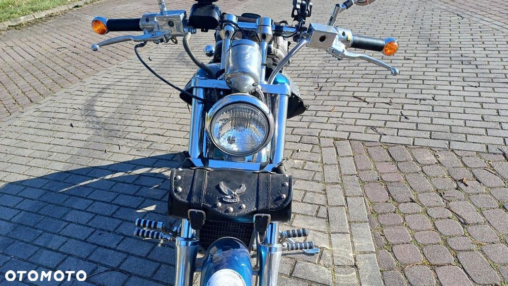 Suzuki Intruder - 10