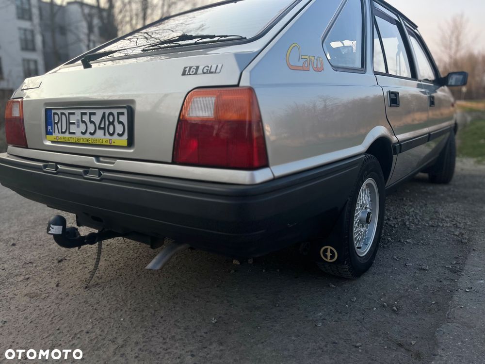Polonez Caro - 8