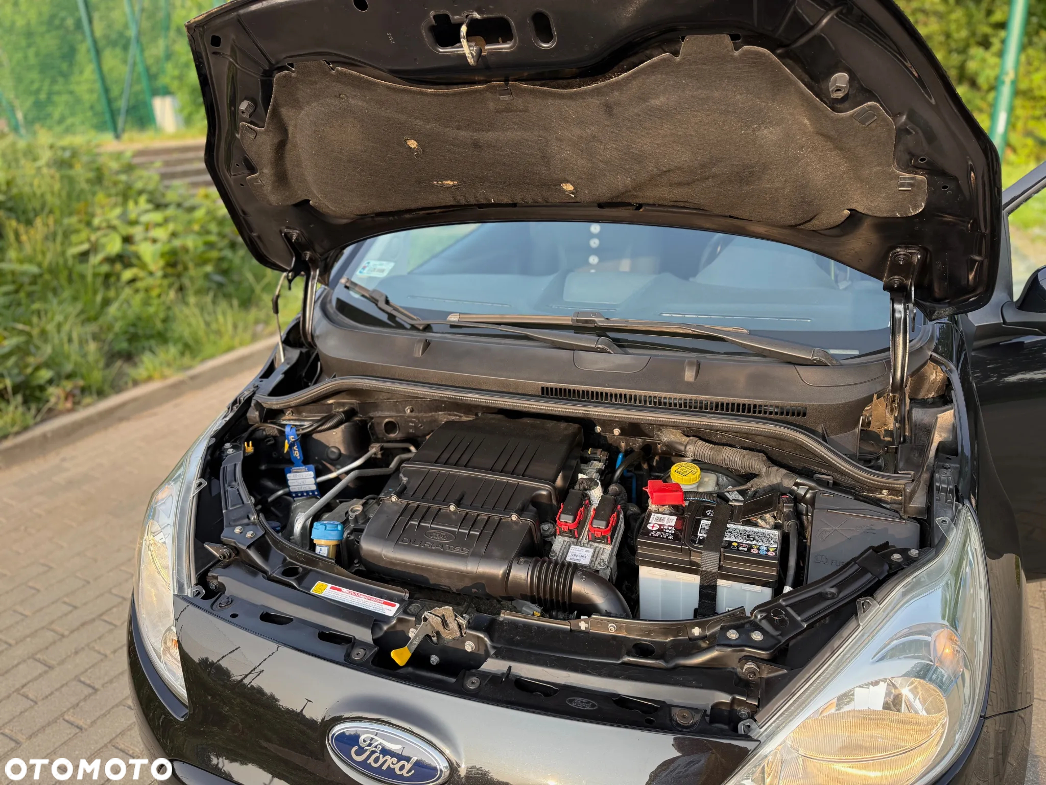 Ford KA - 11