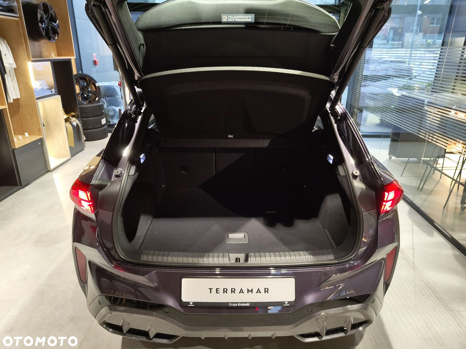 Cupra Terramar - 6