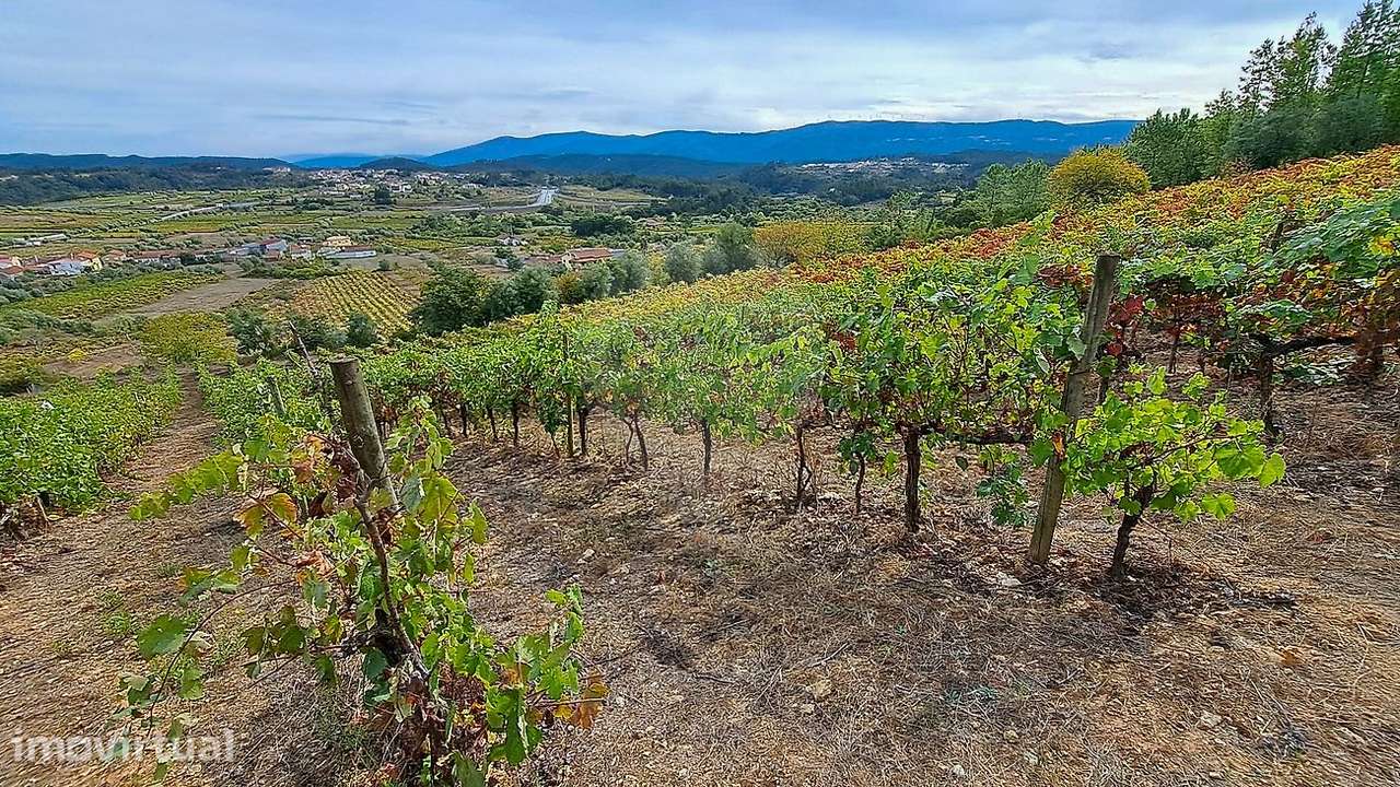 Terreno  para venda - Grande imagem: 3/7