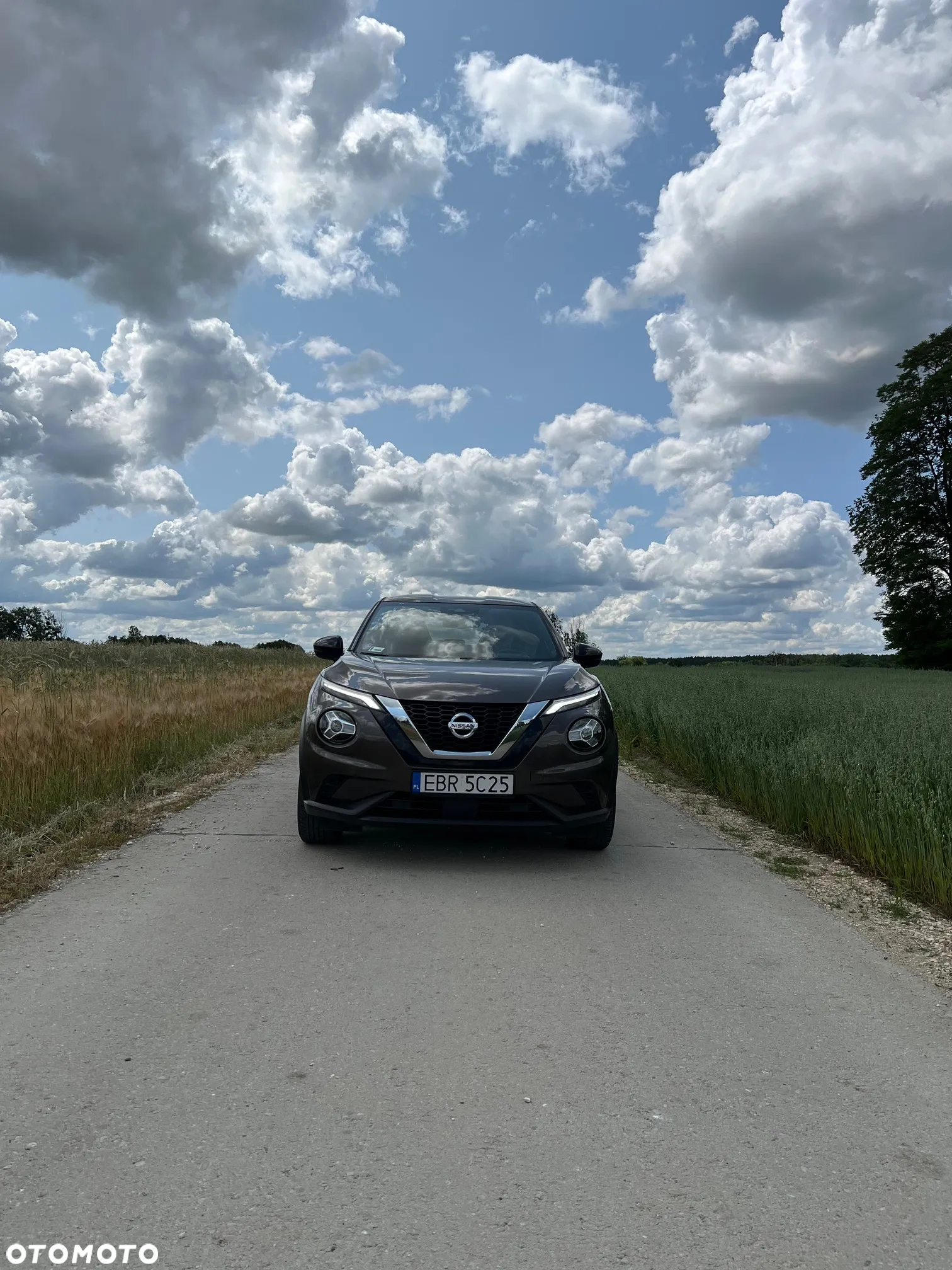 Nissan Juke 1.0 DIG-T N-Connecta - 15